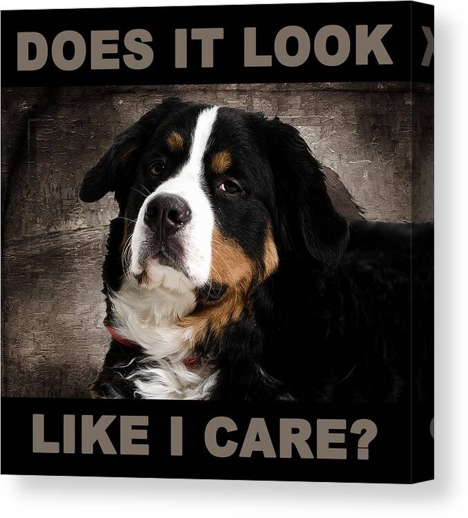 Dog Canvas Print featuring the digital art Sarcastic Dog by Michelle Liebenberg