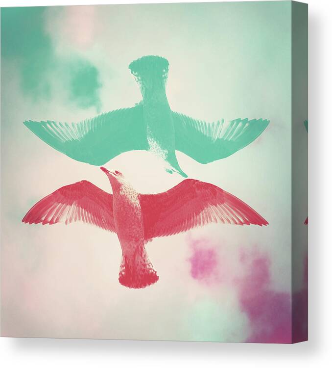 Animal Themes Canvas Print featuring the photograph Seagull by Con Ryan