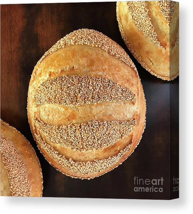 Bread Canvas Print featuring the photograph Sesame Seed Stripes 4 by Amy E Fraser