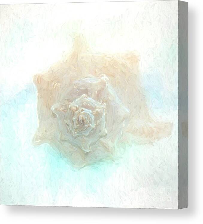 Shell Canvas Print featuring the photograph Shell-painterly by Pam Holdsworth