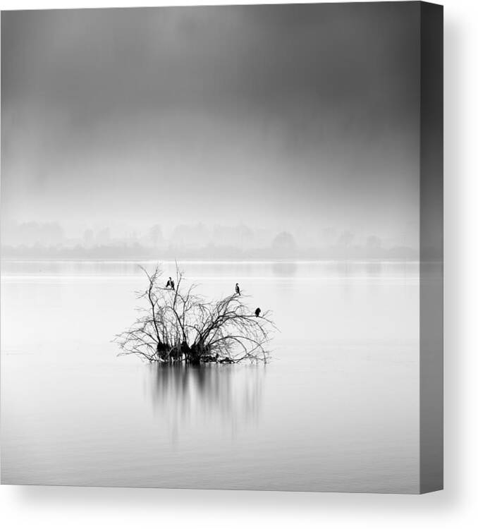 Black Canvas Print featuring the photograph Silence by George Digalakis