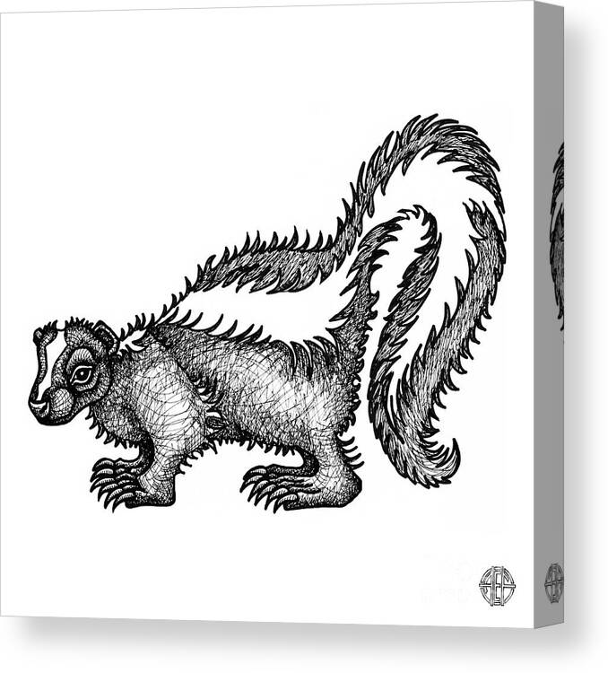 Animal Portrait Canvas Print featuring the drawing Skunk by Amy E Fraser
