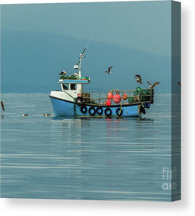 Animal Canvas Print featuring the photograph Small Fishing Boat With Lobster Pods And Seagulls On Calm Atlantic In Front Of The Hebride Islands by Andreas Berthold