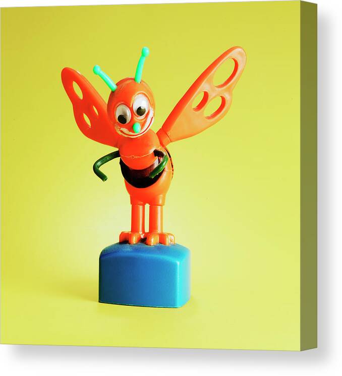 Animal Canvas Print featuring the drawing Smiling Orange Bee by CSA Images