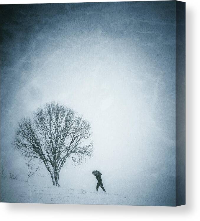 Texture Canvas Print featuring the photograph Snow Day by Mardin Ahmadi
