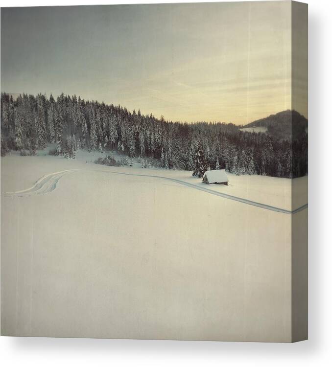 Tranquility Canvas Print featuring the photograph Snow Field by Tom