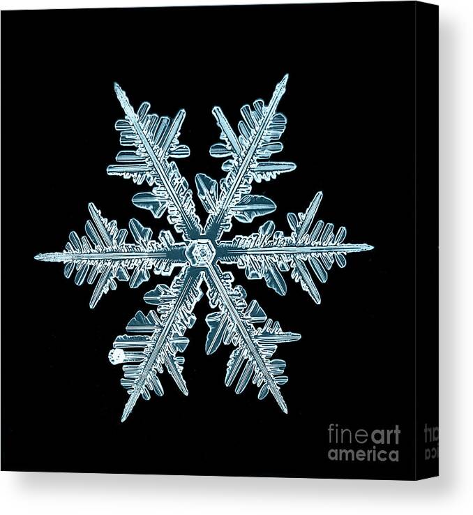 Symbol Canvas Print featuring the photograph Snowflake Isolated Natural Crystal by Kichigin