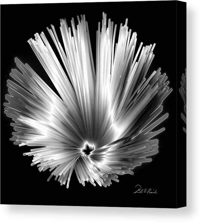 Black & White Canvas Print featuring the photograph Solarized Spaghetti by Frederic A Reinecke