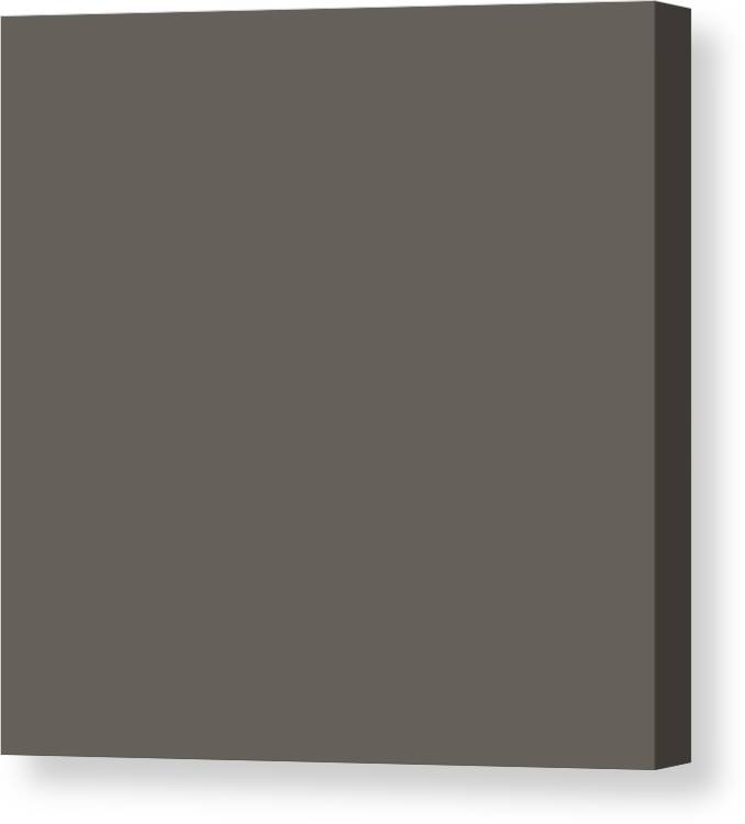 Solid Canvas Print featuring the digital art Solid Gray for Matching Home Decor Pillows and Blankets by Delynn Addams