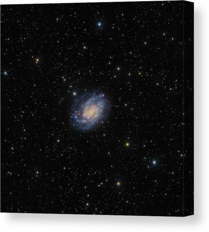 Galaxy Canvas Print featuring the photograph Spiral Galaxy Ngc 300 by Image By Marco Lorenzi, Www.glitteringlights.com