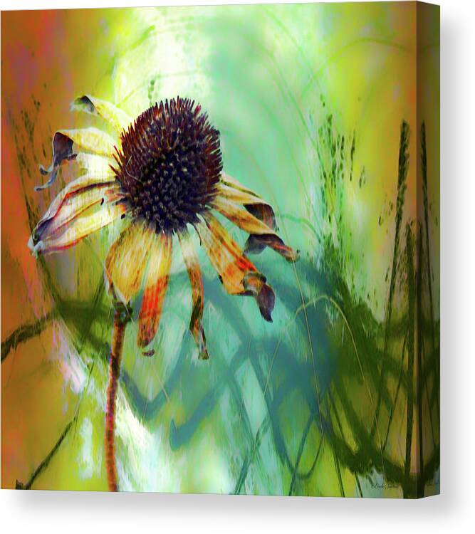 Summer Joy Canvas Print featuring the photograph Summer Joy by Linda Sannuti