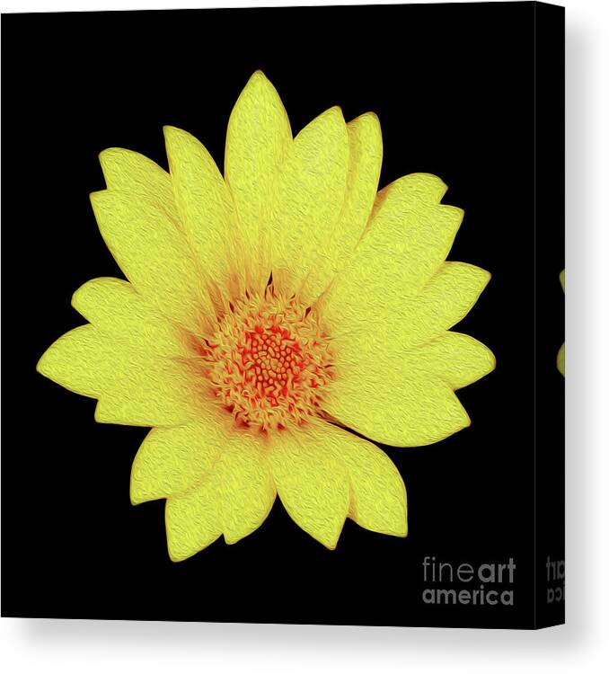 Floral Canvas Print featuring the digital art Sun Flower by Kenneth Montgomery
