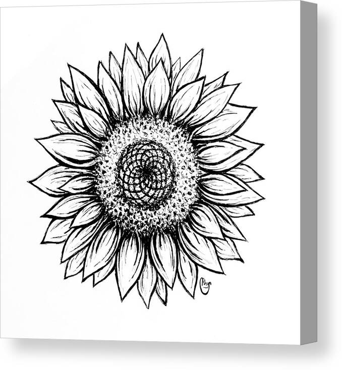 Pen And Ink Canvas Print featuring the drawing Sunflower by Bari Rhys