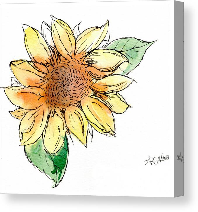 Sunflower Canvas Print featuring the mixed media Sunflower Study by Alexis King-Glandon
