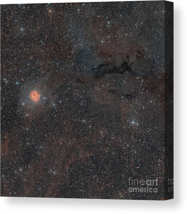 Astronomy Canvas Print featuring the photograph The Cocoon Nebula by Davide De Martin/science Photo Library