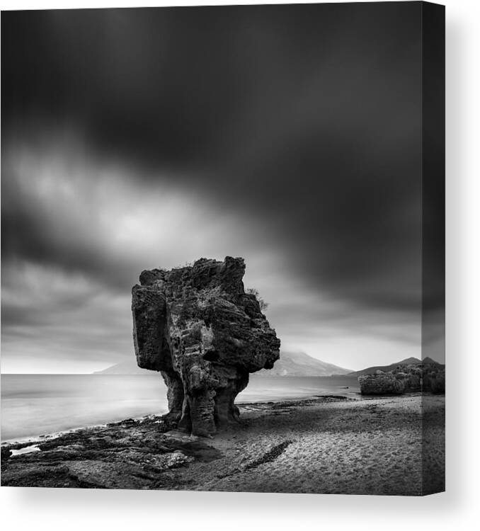 Seascape Canvas Print featuring the photograph The Guard by George Digalakis