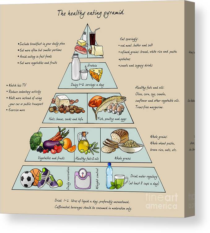 Symbol Canvas Print featuring the digital art The Healthy Eating Pyramid Colorful by Dalmingo