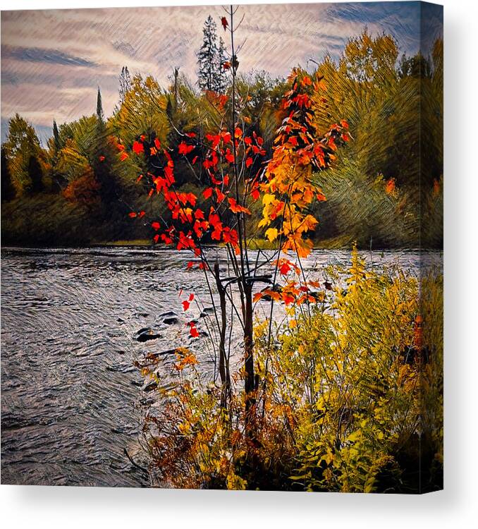 Landscape Canvas Print featuring the photograph The Red Maple by Yanning Peng