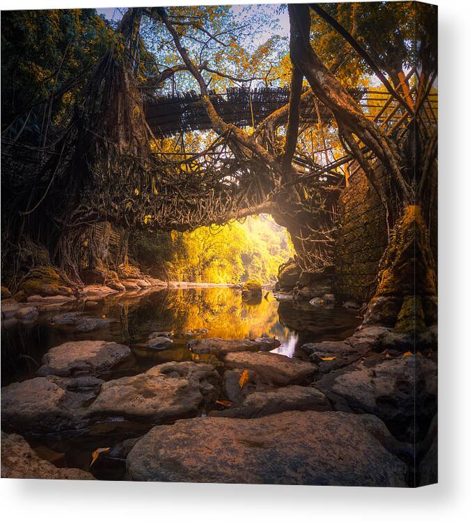 Trees Canvas Print featuring the photograph The Root Bridge by Sandeep Mathur