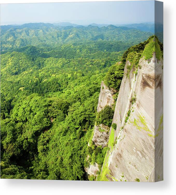 Chiba Prefecture Canvas Print featuring the photograph The Vast Lush Green Forest From The by Ippei Naoi