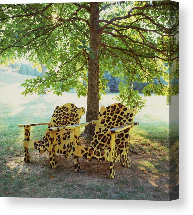 Outdoors Canvas Print featuring the photograph Tigarspotedchairs by Richard Felber