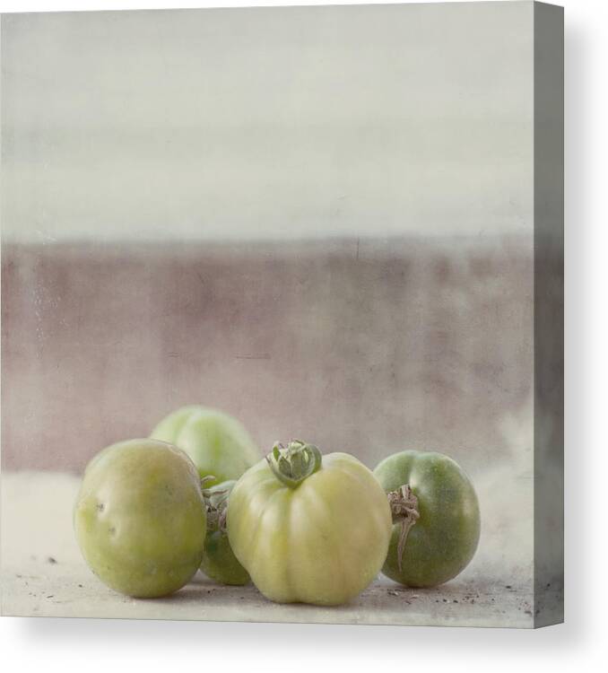 Healthy Eating Canvas Print featuring the photograph Tomatoes by Jill Ferry