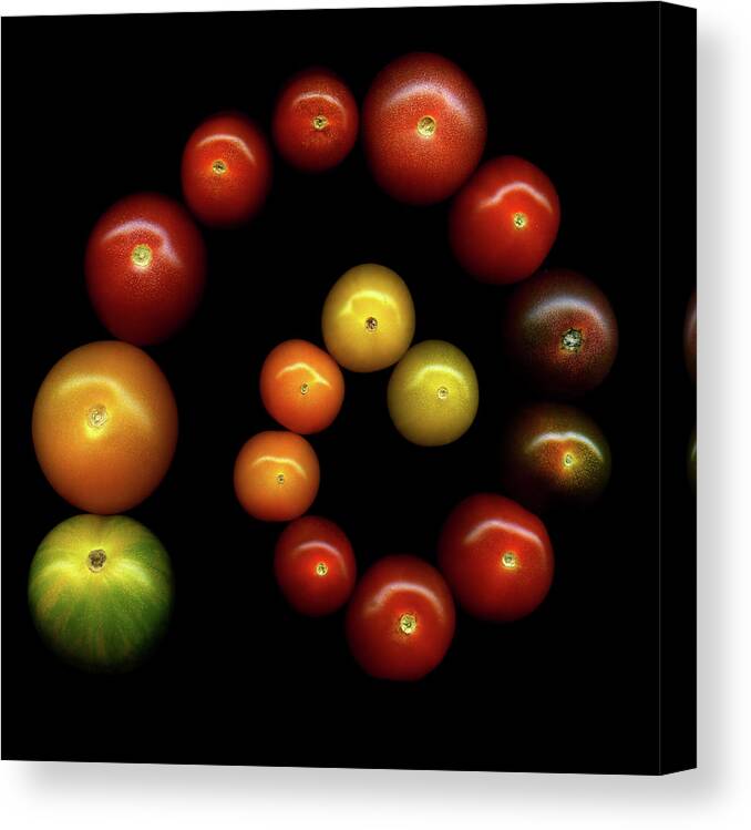 In A Row Canvas Print featuring the photograph Tomatoes by Photograph By Magda Indigo