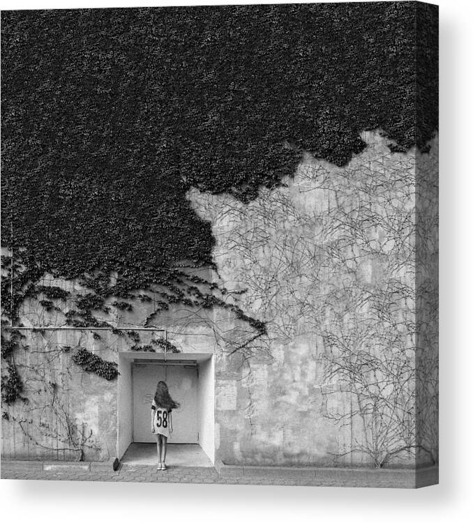 Vegetation Canvas Print featuring the photograph Transience by Marco Beck