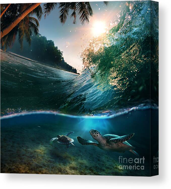 Sealife Canvas Print featuring the photograph Tropical Paradise Template by Willyam Bradberry