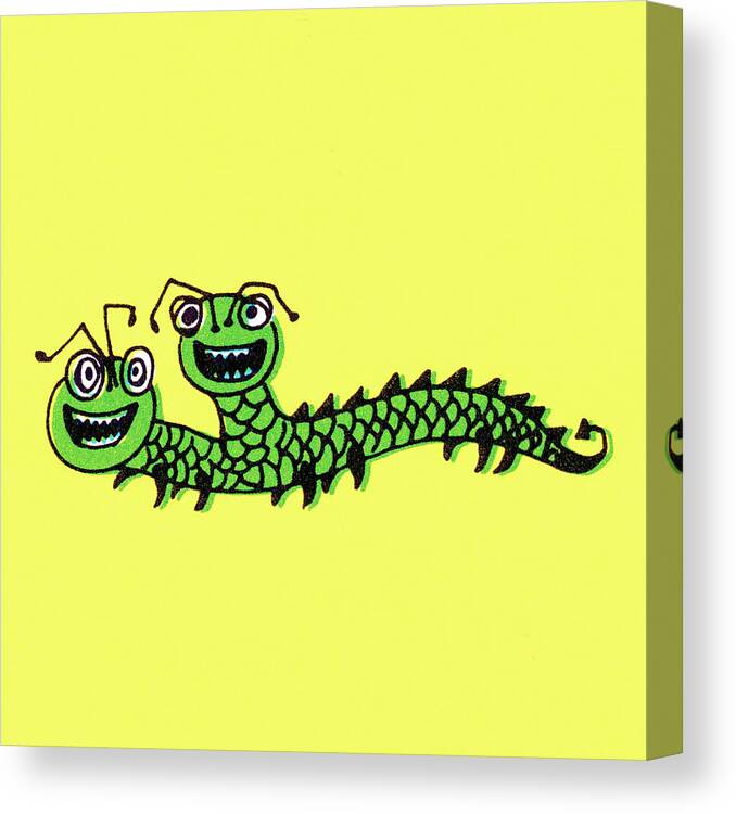 Animal Canvas Print featuring the drawing Two-headed green snake by CSA Images