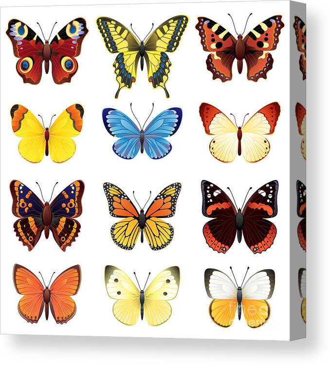 Symbol Canvas Print featuring the digital art Vector Illustration - Butterfly Icon Set by Jut