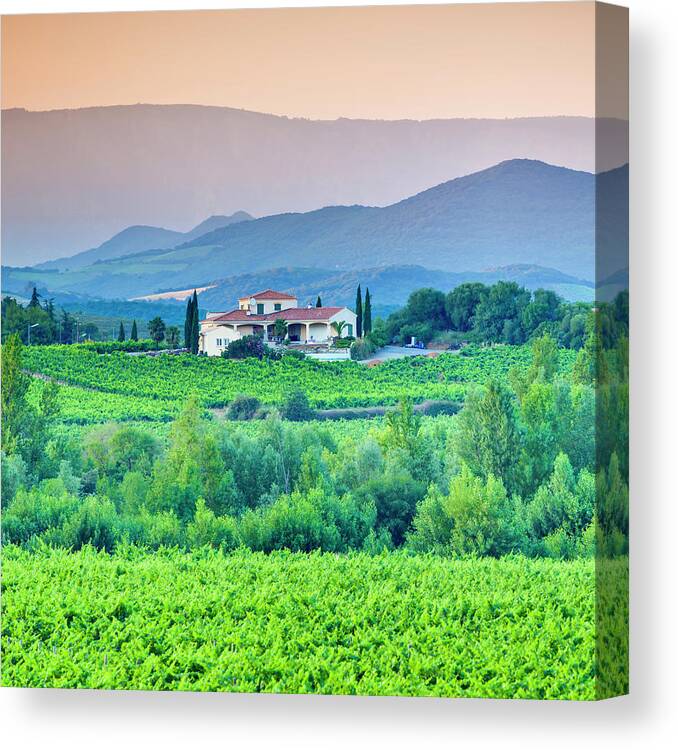 Season Canvas Print featuring the photograph Vineyard, Villa And Rolling Hills In by Espiegle