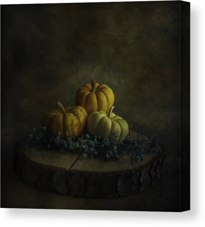 Pumpkin Canvas Print featuring the photograph Waiting For Halloween by iek K?ral