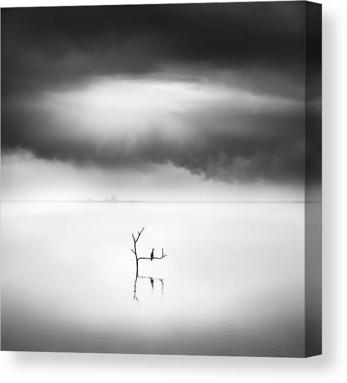 Bird Canvas Print featuring the photograph Waiting For The Summer by George Digalakis