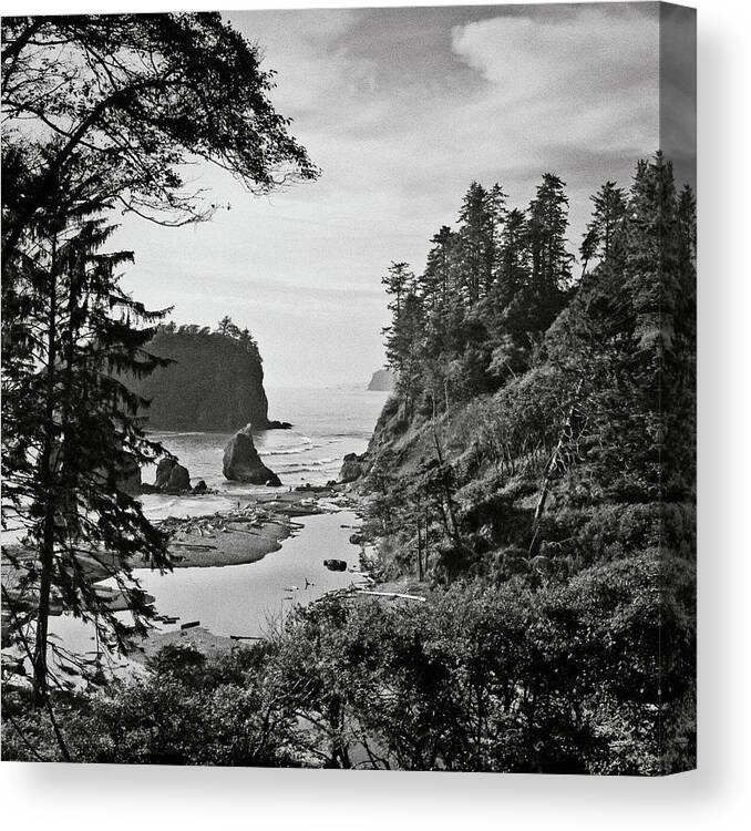 Ruby Beach Canvas Print featuring the photograph West Coast by Sbk 20d Pictures
