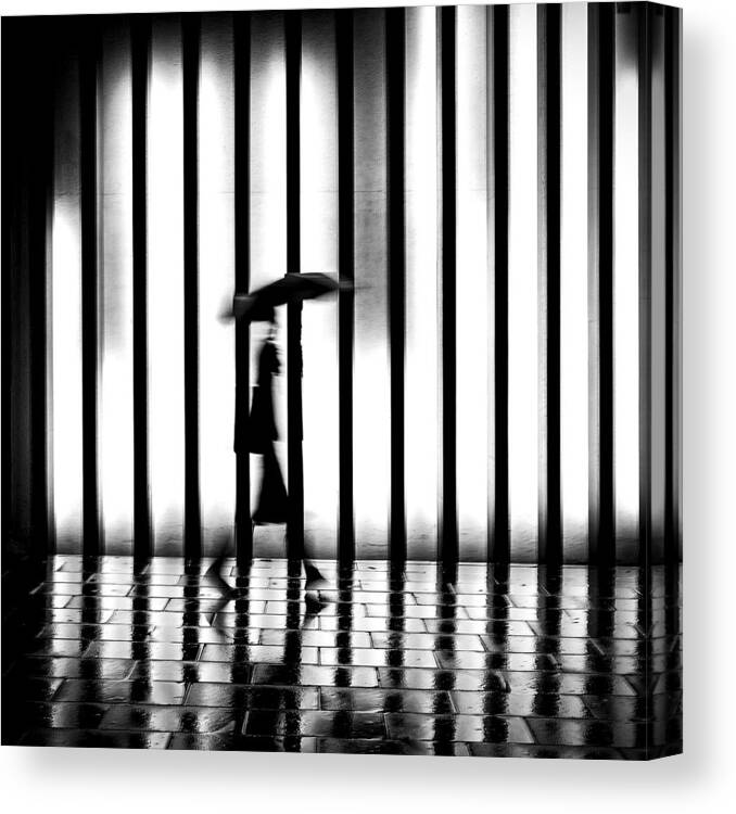 Zebra Canvas Print featuring the photograph Wet Night by Tuncay Co?kun