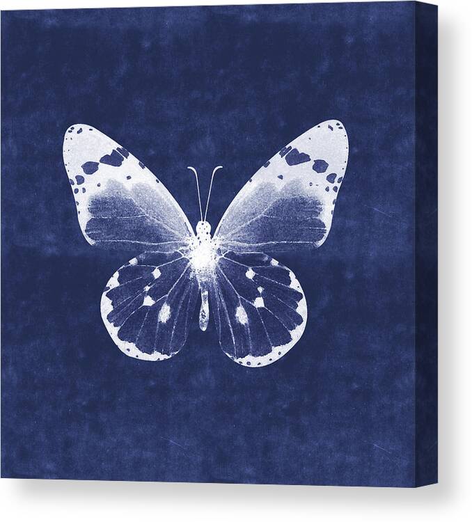 Butterfly Canvas Print featuring the mixed media White and Indigo Butterfly 1- Art by Linda Woods by Linda Woods