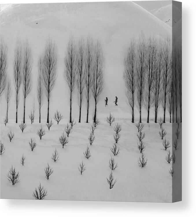 Winter Canvas Print featuring the photograph Winter by Mohammad Alipour