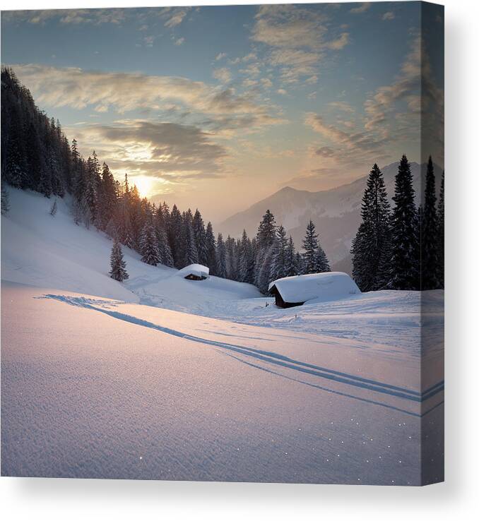 Glade Canvas Print featuring the photograph Winter Sunset by Lorenzo104
