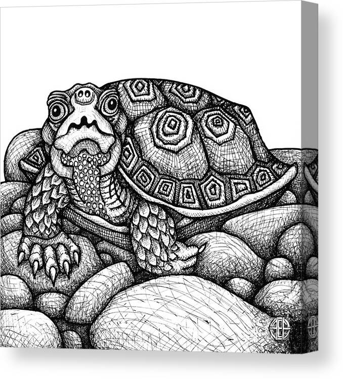 Turtle Canvas Print featuring the drawing Wood Turtle by Amy E Fraser