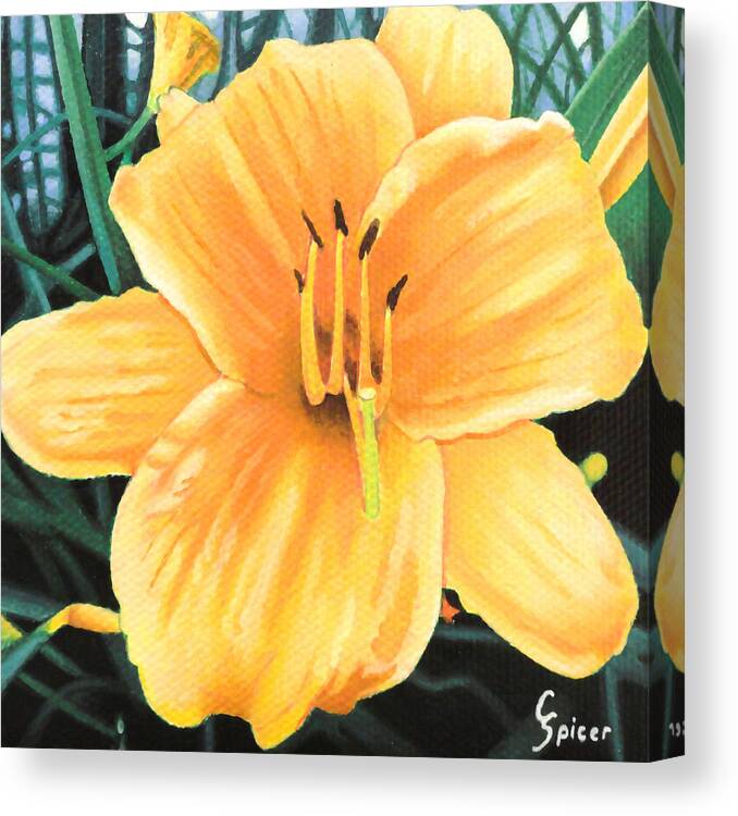 Yellow Canvas Print featuring the painting Yellow Hibiscus by Christopher Spicer