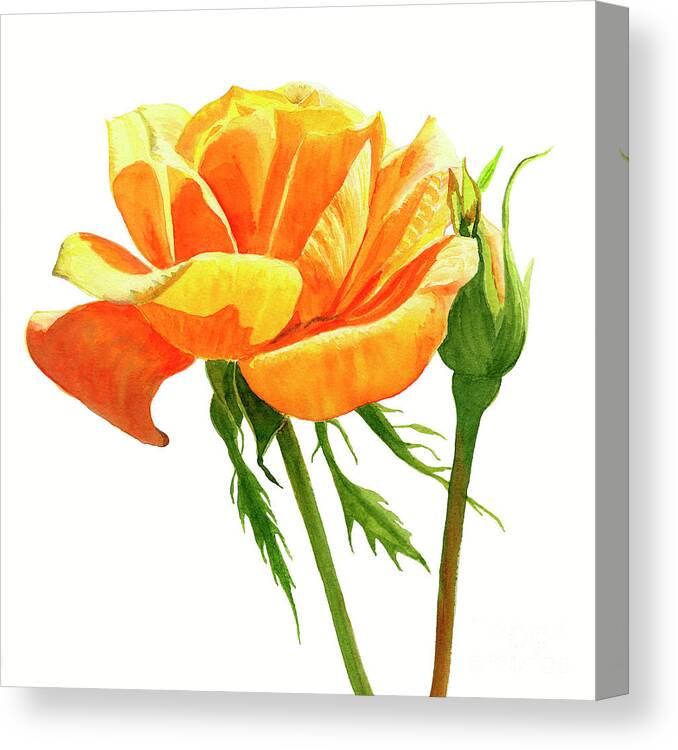 Yellow Rose with Bud square design Canvas Print / Canvas Art by Sharon ...