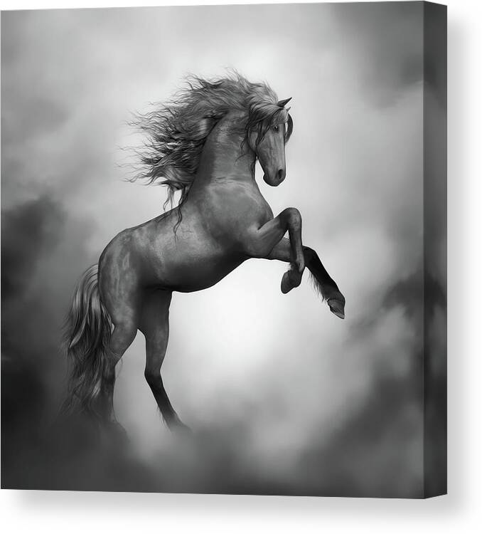 Wild Stallions Signed Fine Art Print Horses