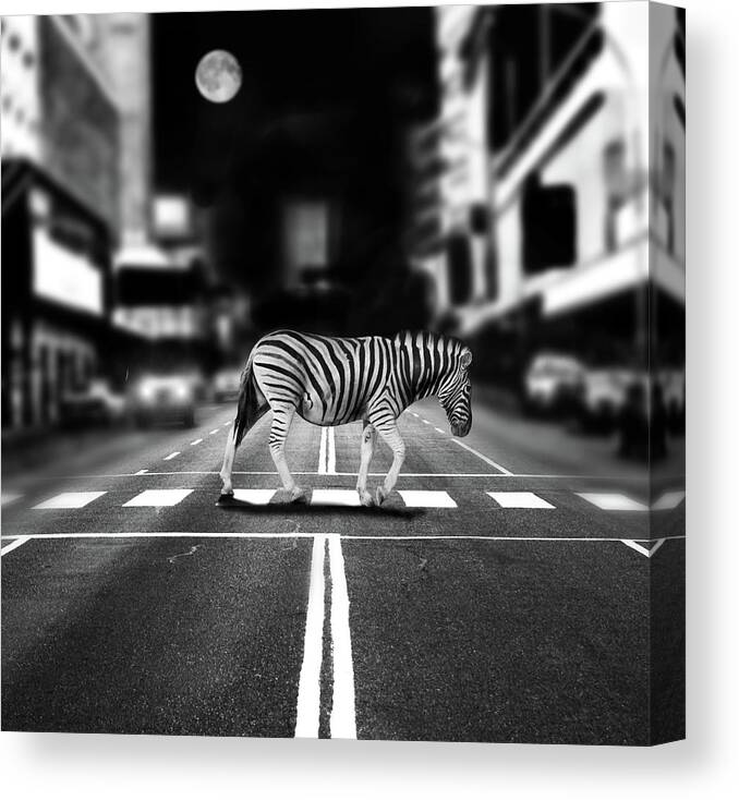 Out Of Context Canvas Print featuring the photograph Zebra Crossing by By Sigi Kolbe