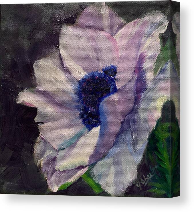 Anemone Canvas Print featuring the painting Basking in Sunshine #2 by Jan Chesler