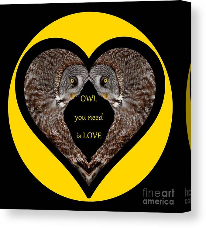 Colorful Owls Canvas Print featuring the digital art Owl you need is love #1 by Heather King