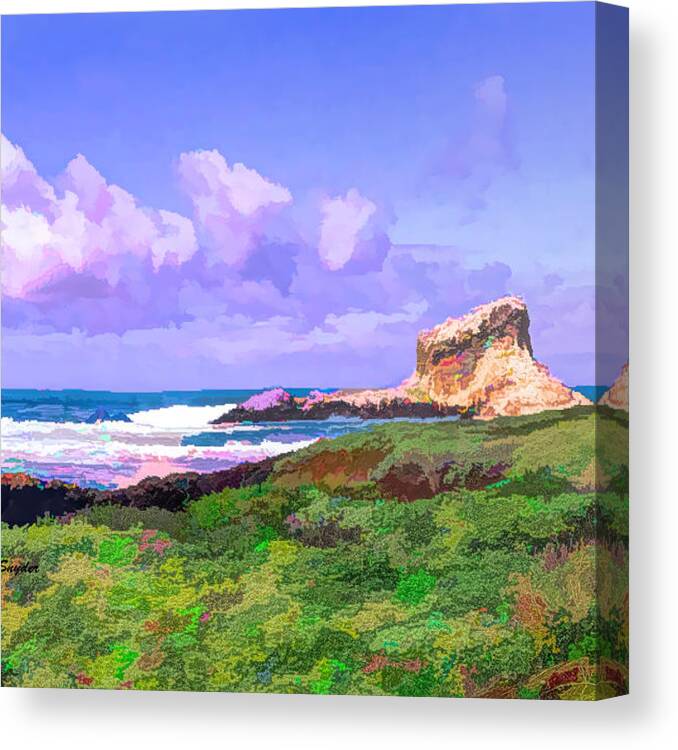 Seascape Canvas Print featuring the photograph White Rock Off Piedras Blanca Detail #1 by Floyd Snyder