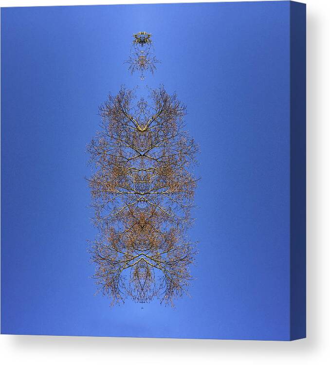 Clear Sky Canvas Print featuring the photograph Kaleidoscopic Image of Winter Tree branches by Mike Hill