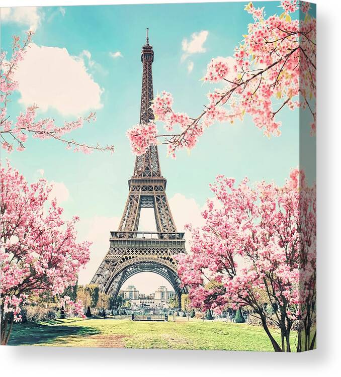 Tower Canvas Print featuring the photograph Paris City Sakura by Manjik Pictures