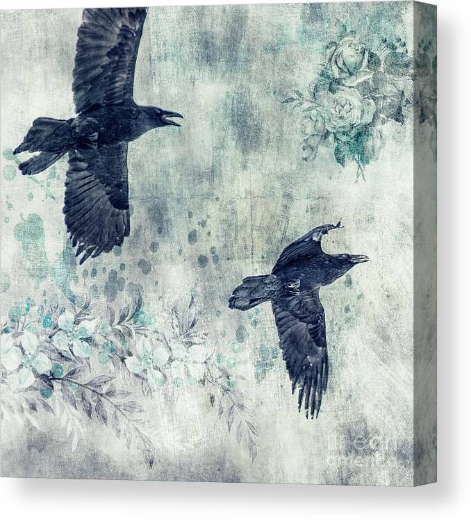 Flight Canvas Print featuring the photograph 2 Ravens In Flight by Priska Wettstein